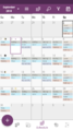 Time planner ed 5.png